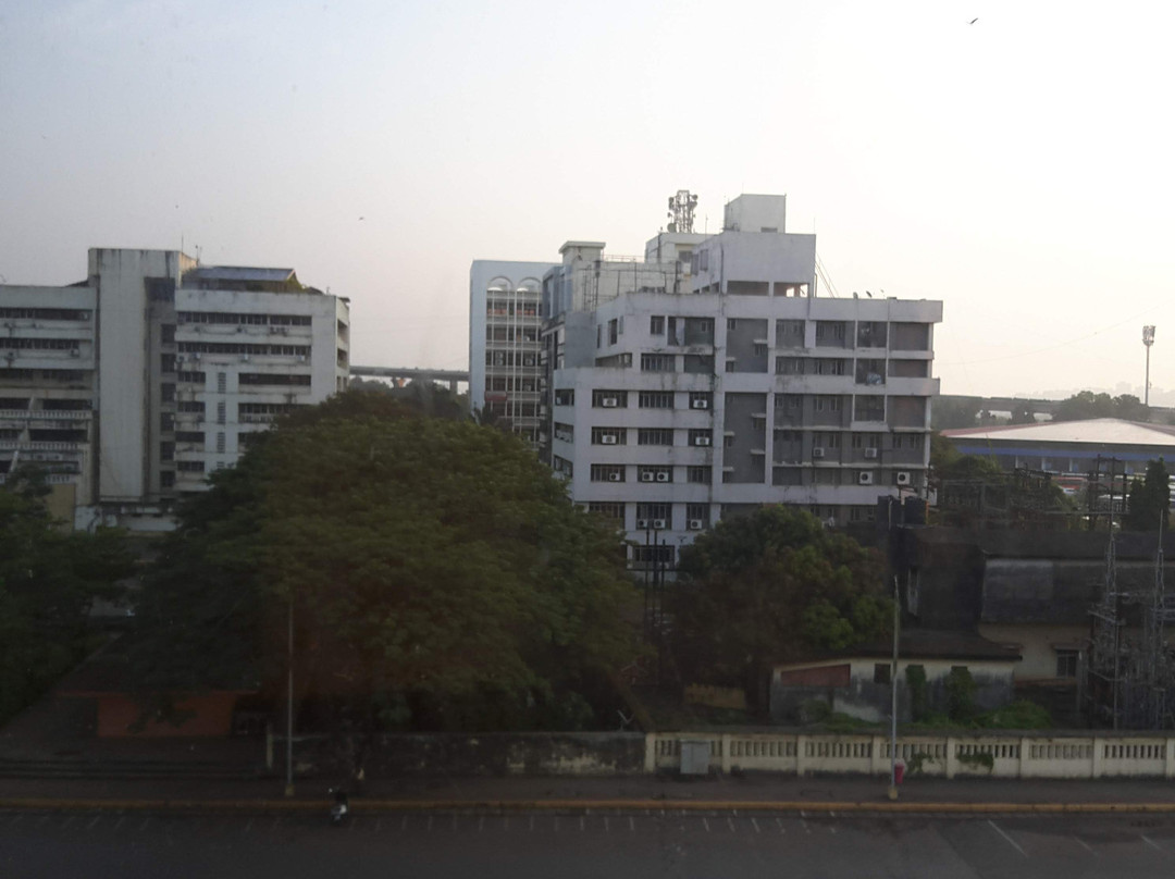 姜果阿酒店主图