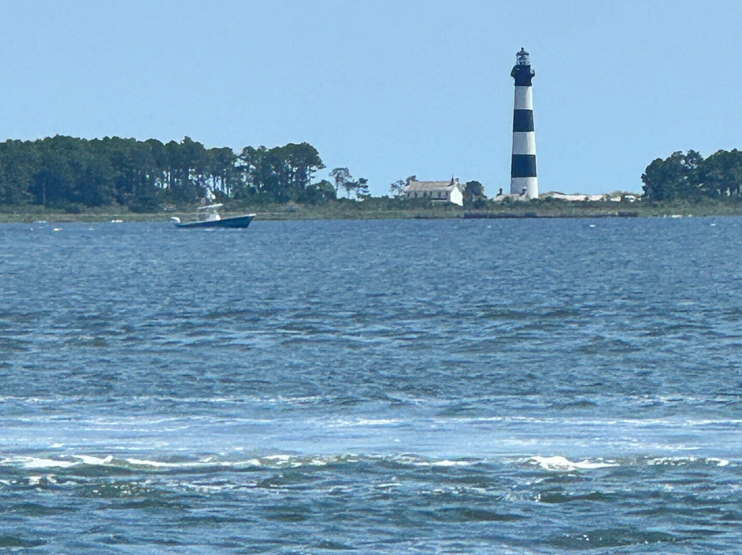 Safari Dolphin Tours-纳格斯海德必去景点
