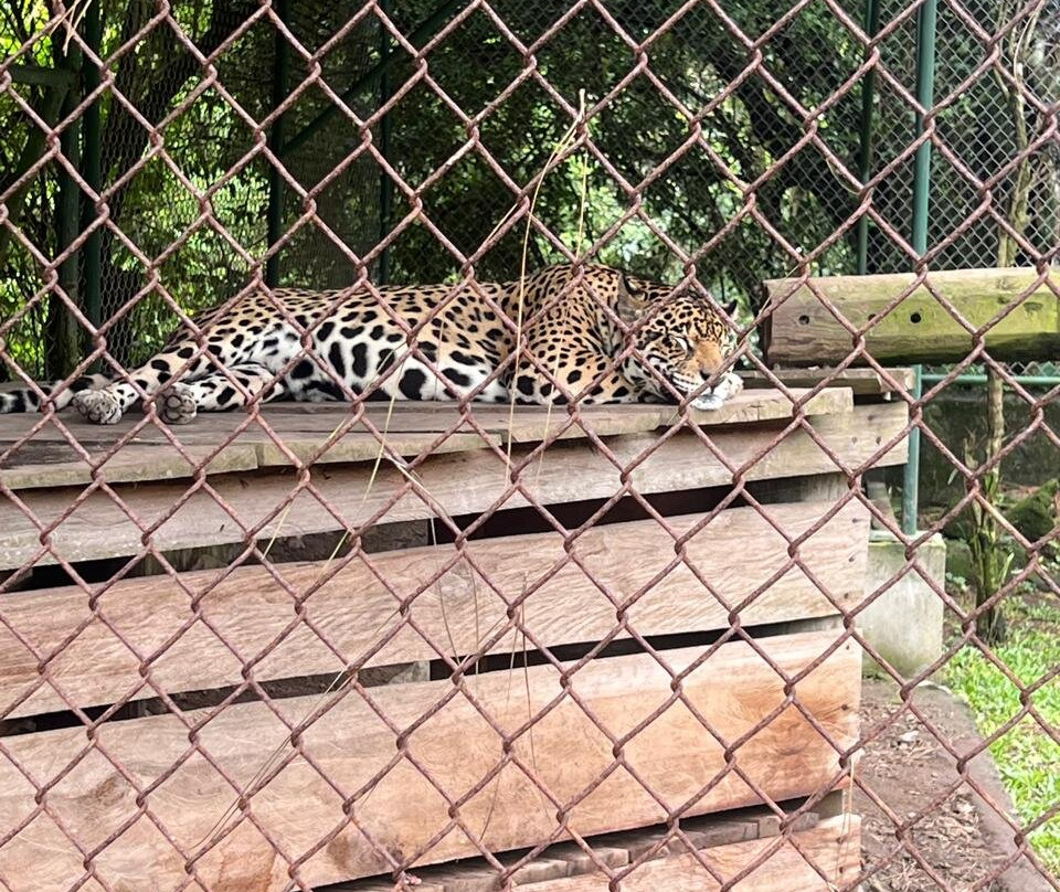 El Nispero Zoo and Botanical Garden景点图片