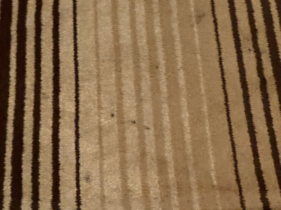 Hampton Inn & Suites Texarkana主图