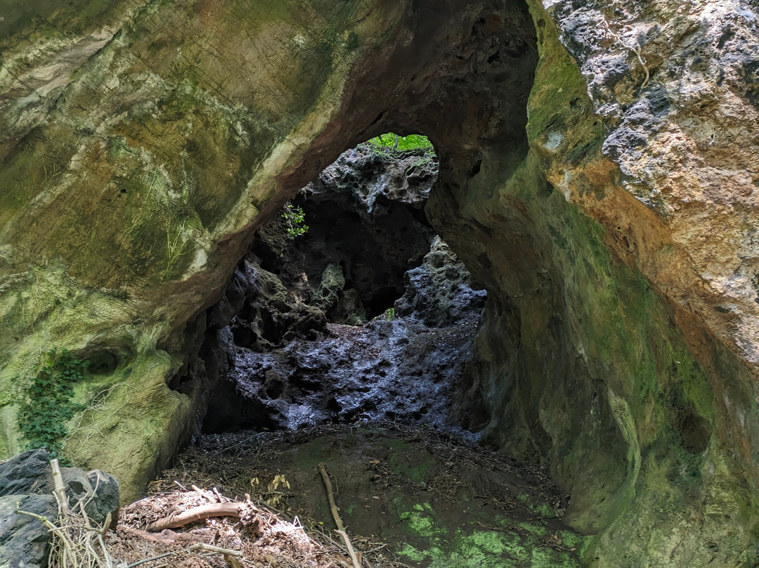Cuevas de Andina景点图片