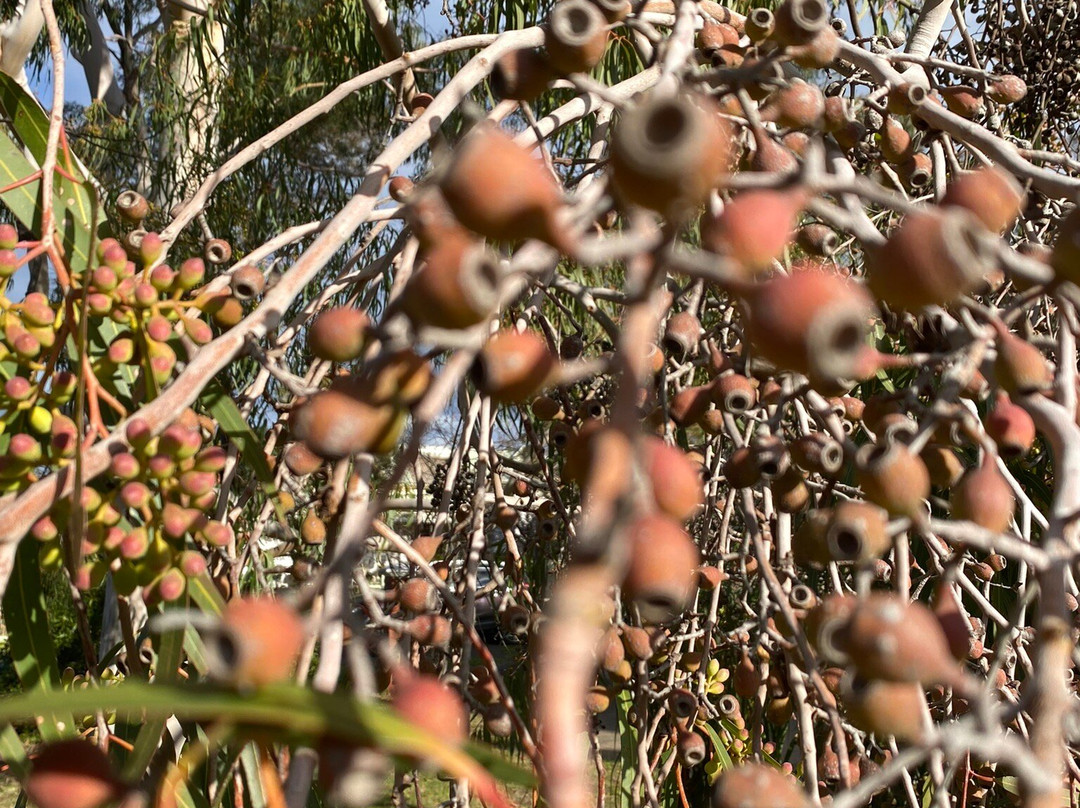 St Mary's Catholic Church-拉什沃思必去景点