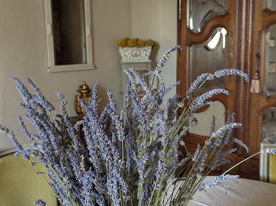 Le Vieux Castel主图