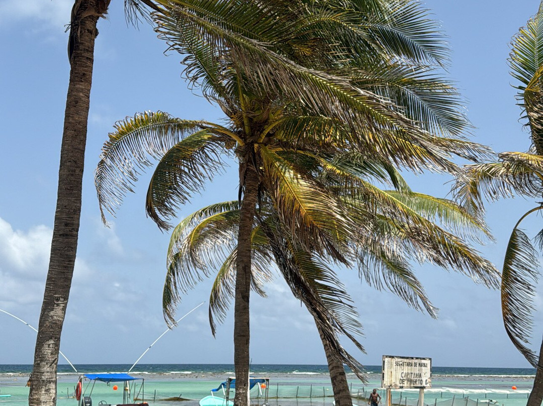 Toucan Tours-Mahahual必去景点