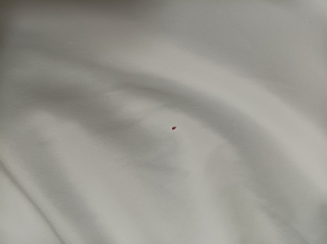 纽瓦克舒适套房酒店主图