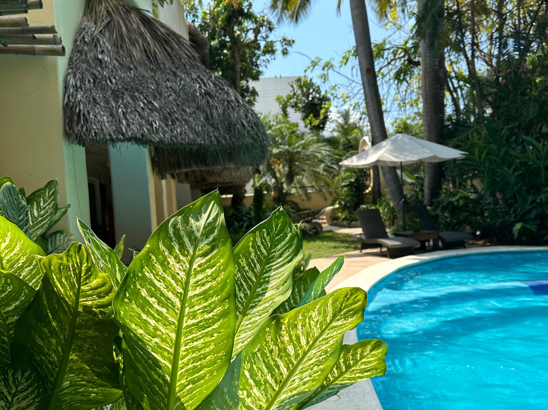 Hotel Villas Sayulita主图