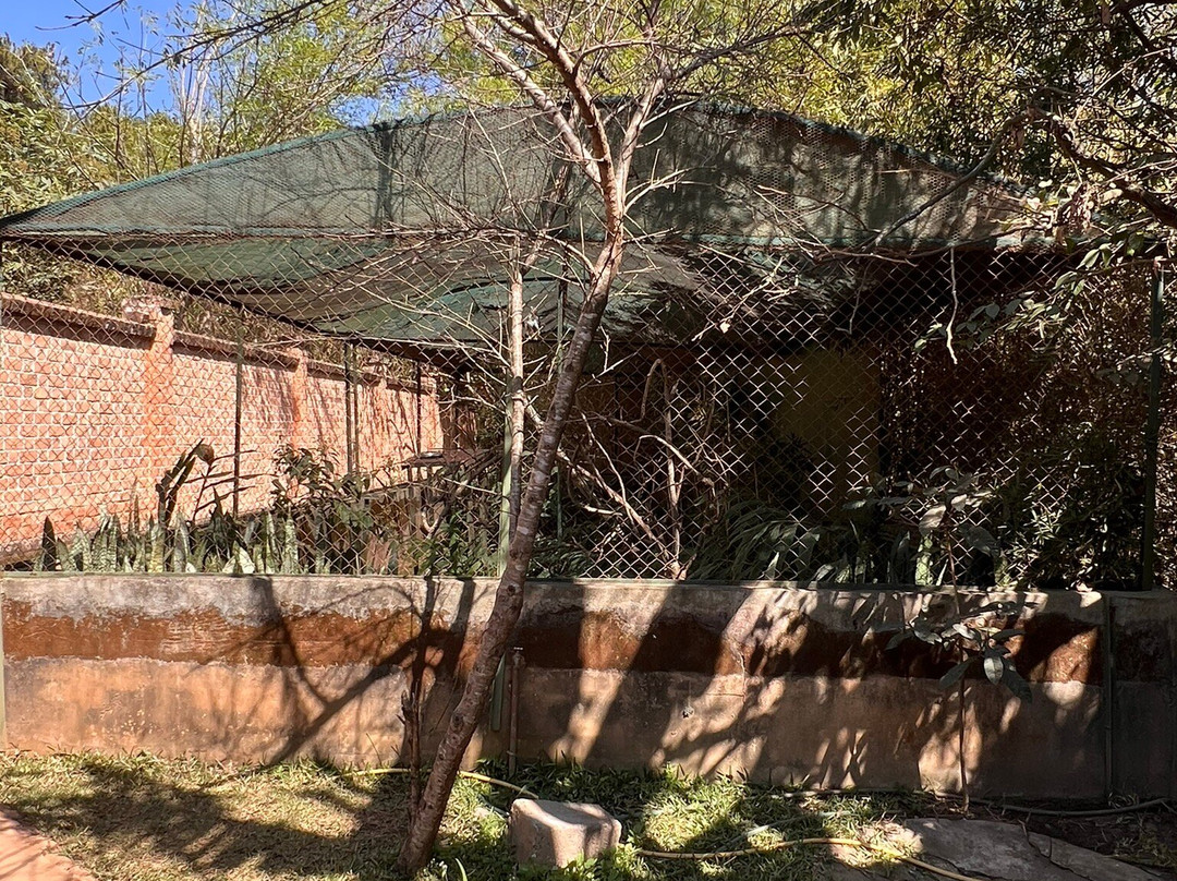 Croc Farm景点图片