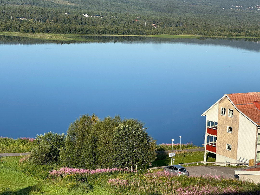 Hotell Funäsdalen主图