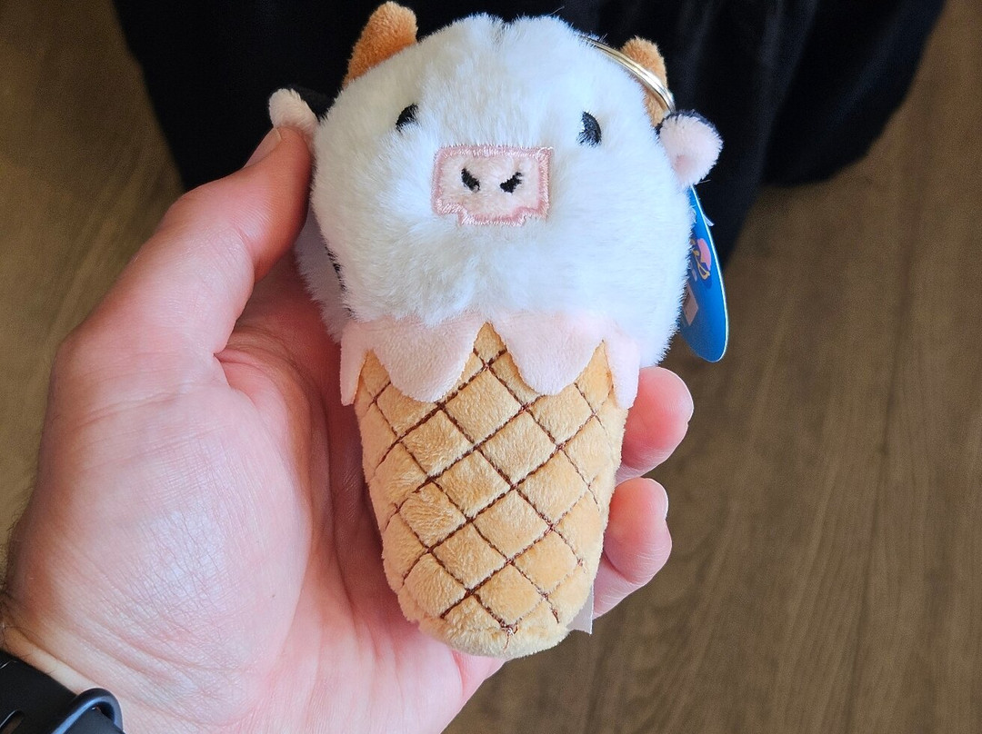 Cow's-哈利法克斯必去景点