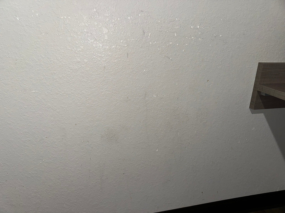 Quality Suites Wildwood - The Villages主图