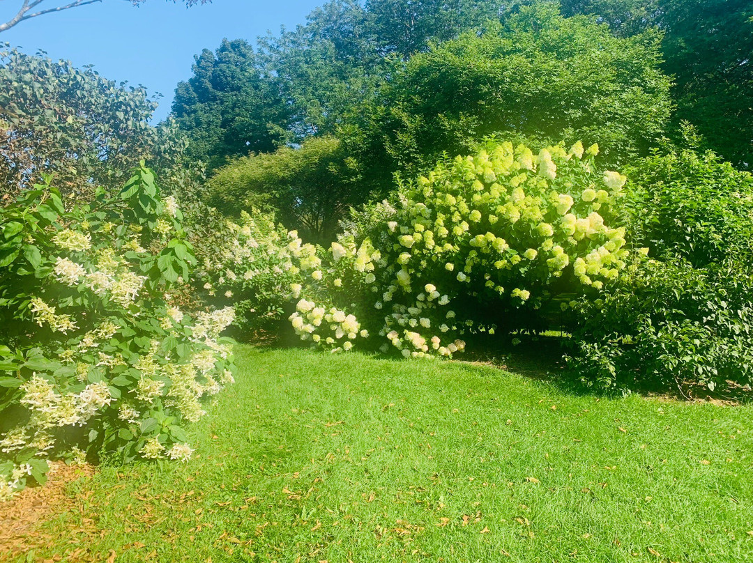University of Wisconsin-Madison Arboretum-麦迪逊必去景点