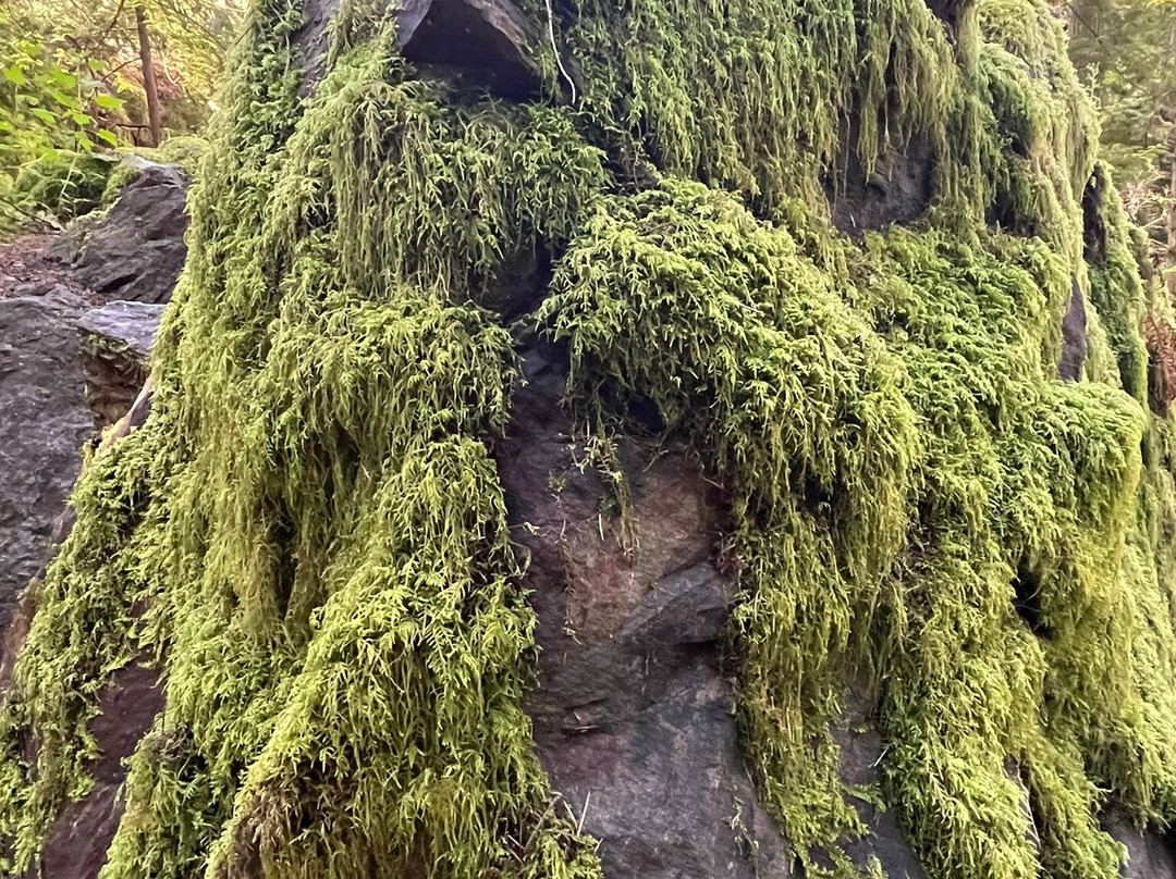 Oyster Dome Trail-Bow必去景点