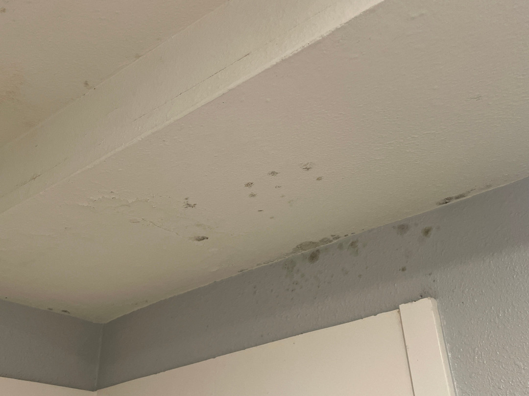 La Quinta Inn & Suites by Wyndham Salem OR主图