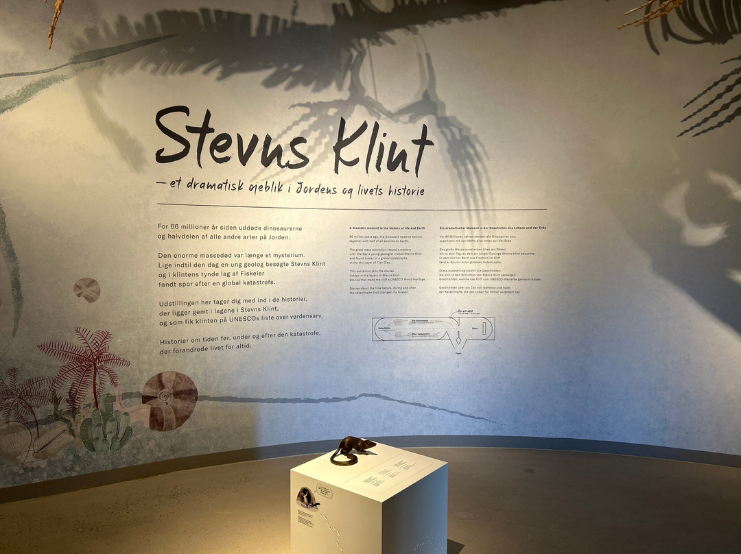 Stevns Klint Experience景点图片