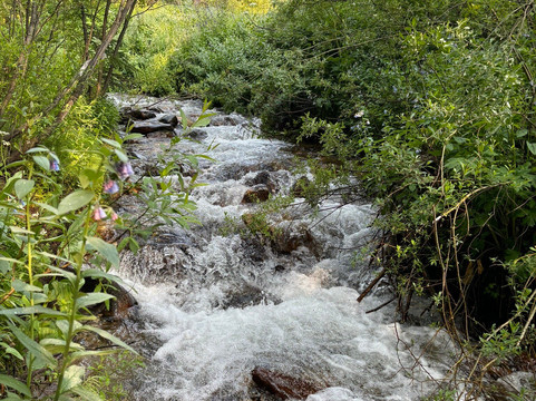 Sawmill Creek Trail-布雷肯里奇必去景点