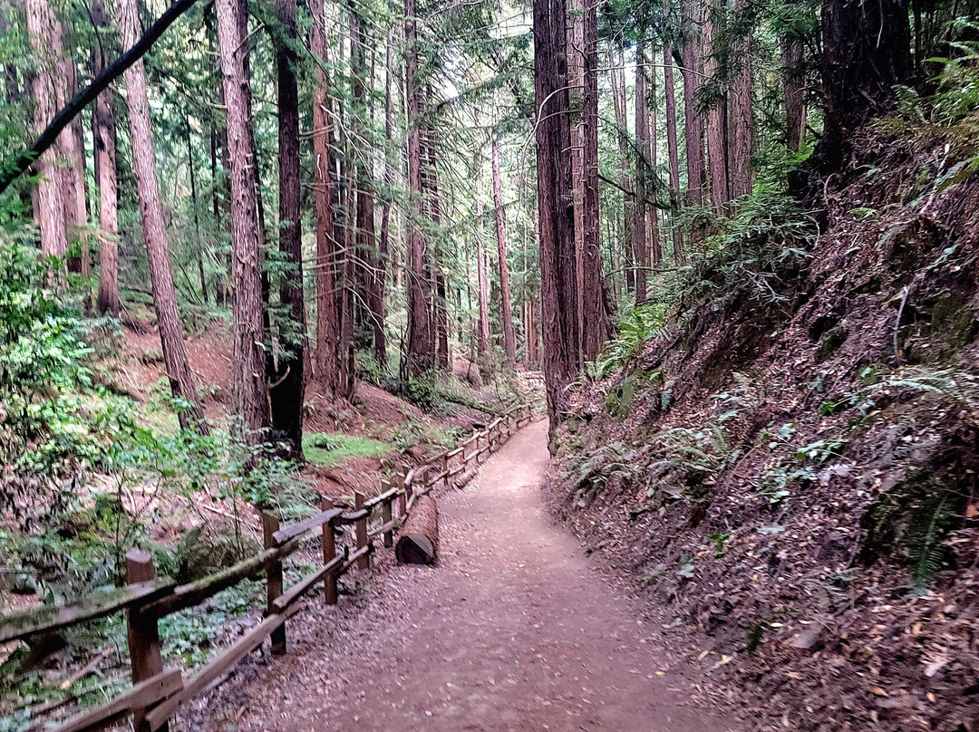 Roberts Regional Recreation Area-奥克兰必去景点