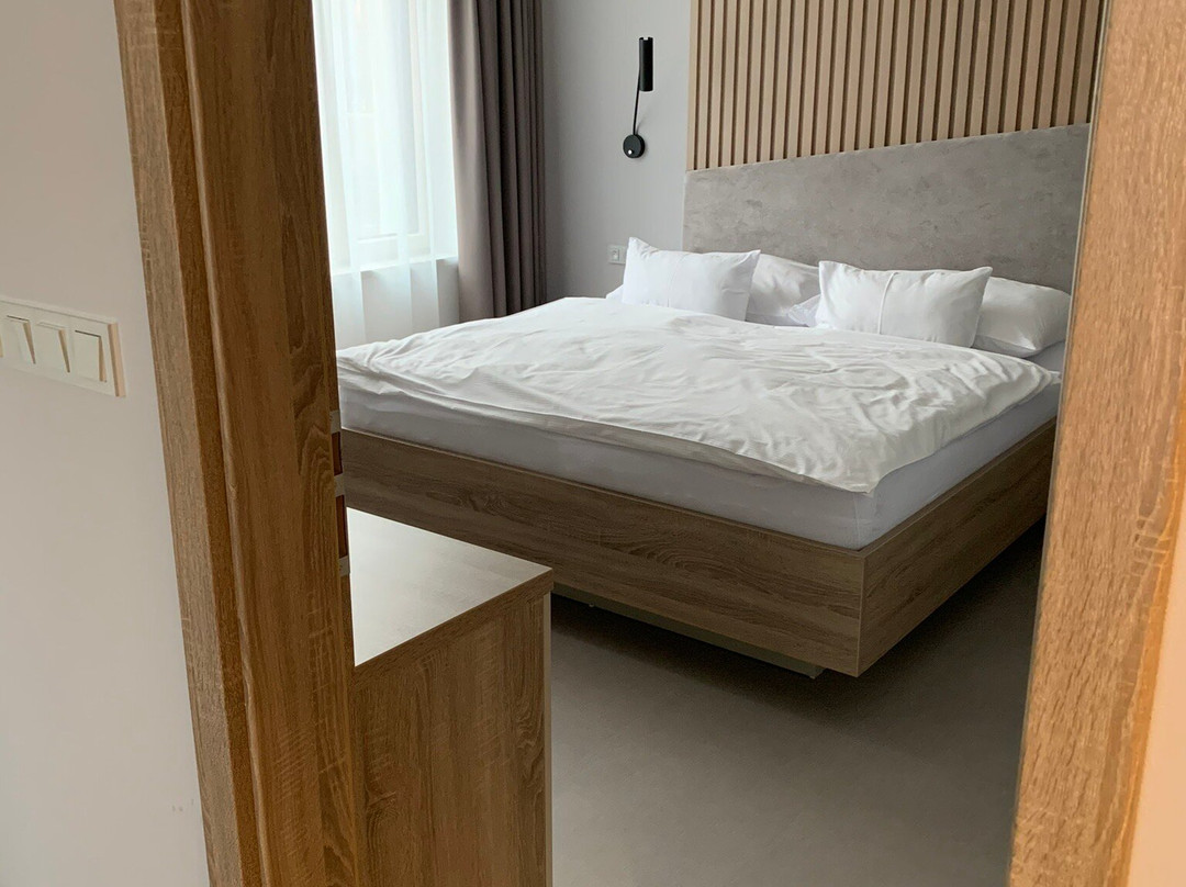 Wellness Hotel Fénix主图