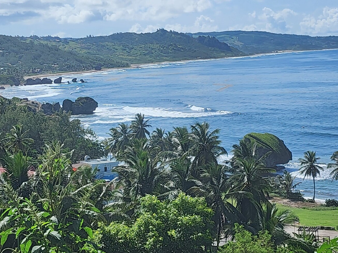 SUP Barbados-Paynes Bay必去景点
