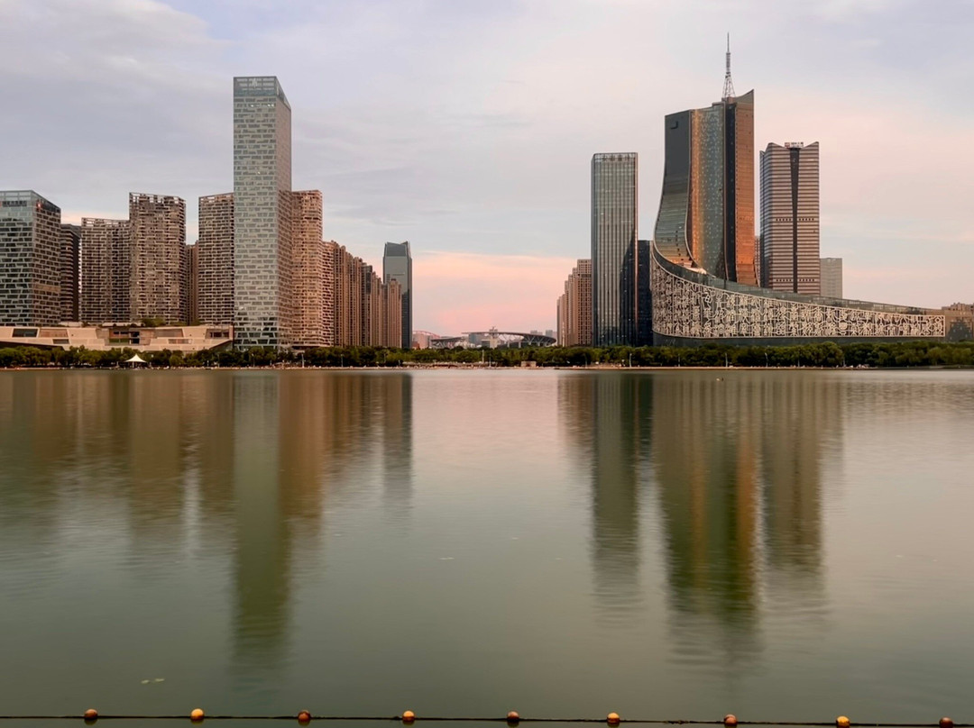 合肥天鹅湖景点图片