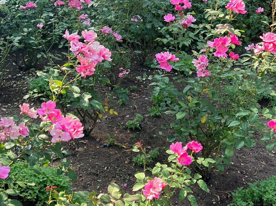 118er Denkmal-沃尔姆斯必去景点