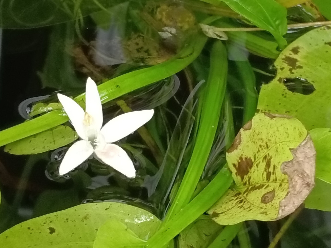 卡萨龙度假村和水疗中心主图