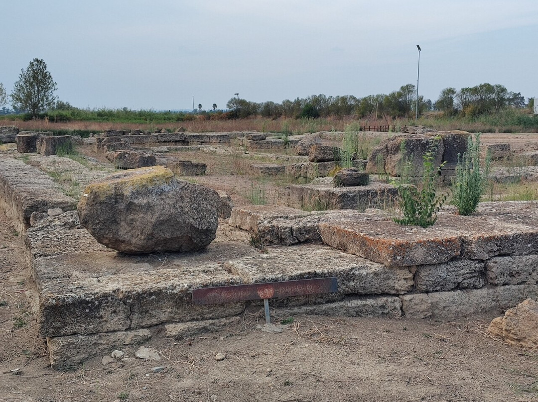 Parco Archeologico dell’Area Urbana-Bernalda必去景点