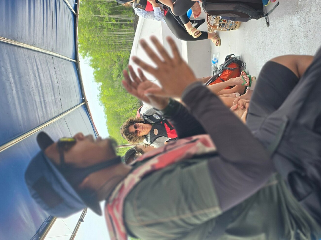 兰卡威巴德红树林之旅景点图片