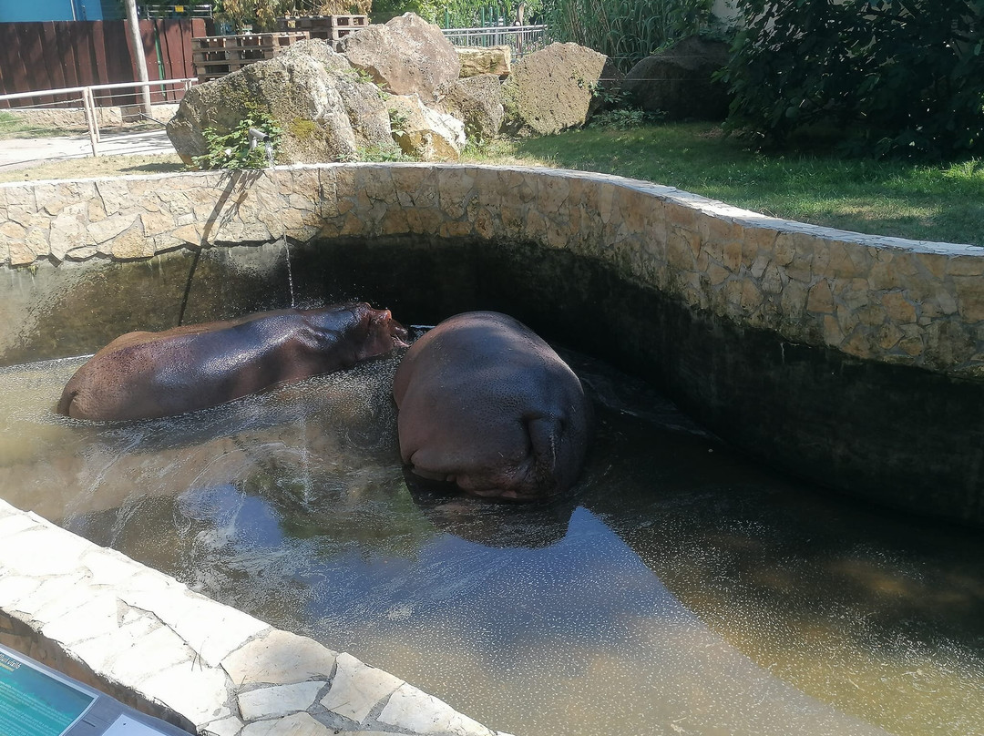 Zoo Debrecen景点图片