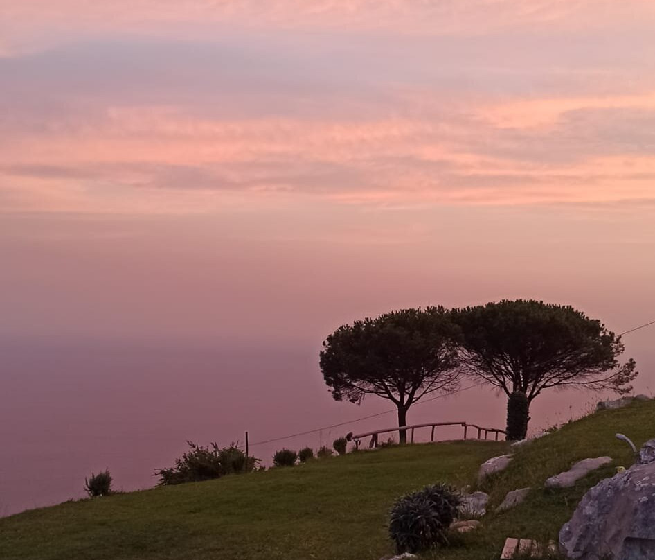 Fattoria Marecoccola-索伦托必去景点