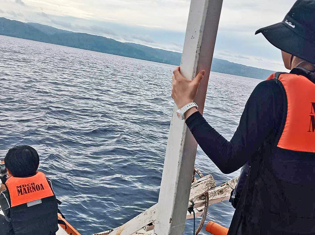 哈罗德潜水中心-杜马盖地必去景点