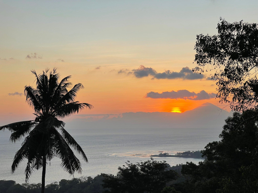 潘卡科酒店主图