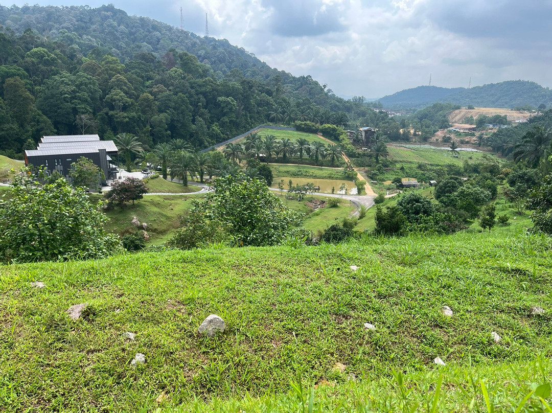 居銮塔卢拉山农家乐酒店