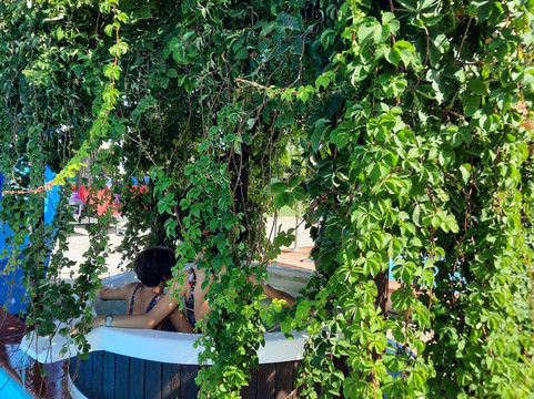 维纳德马尔皮内塔酒店主图