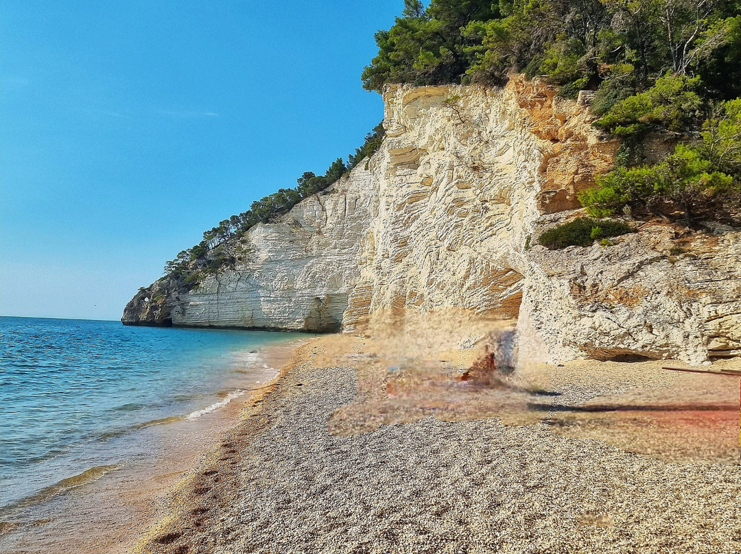 HMO Glamping & Suites in Vignanotica主图