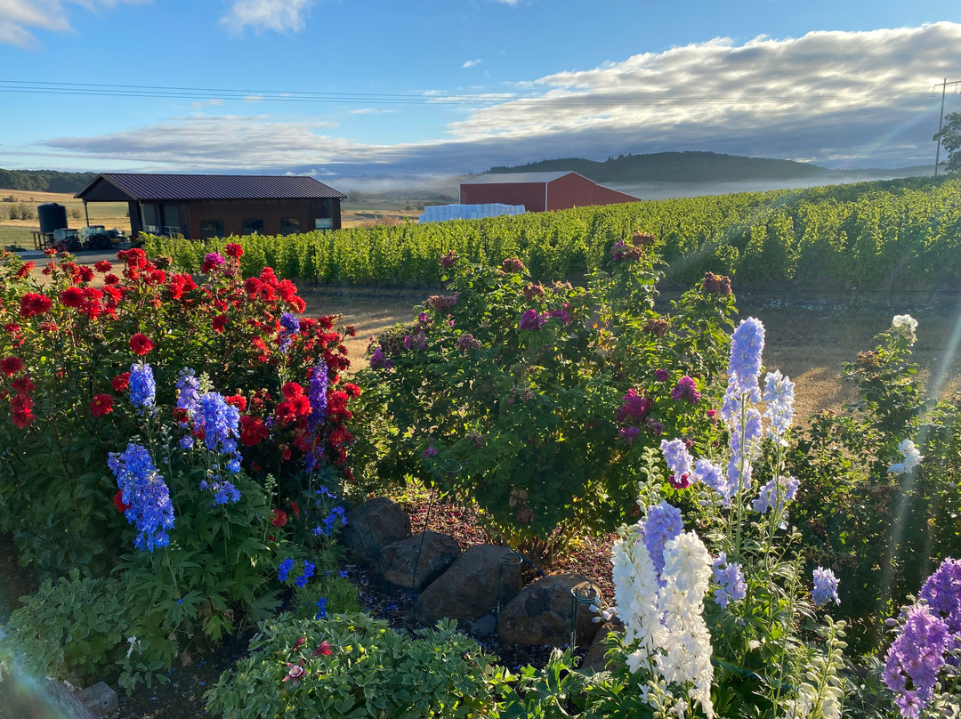 Andante Vineyard-Dallas必去景点