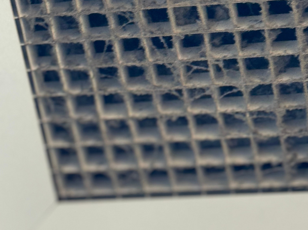 Best Western Gardendale主图