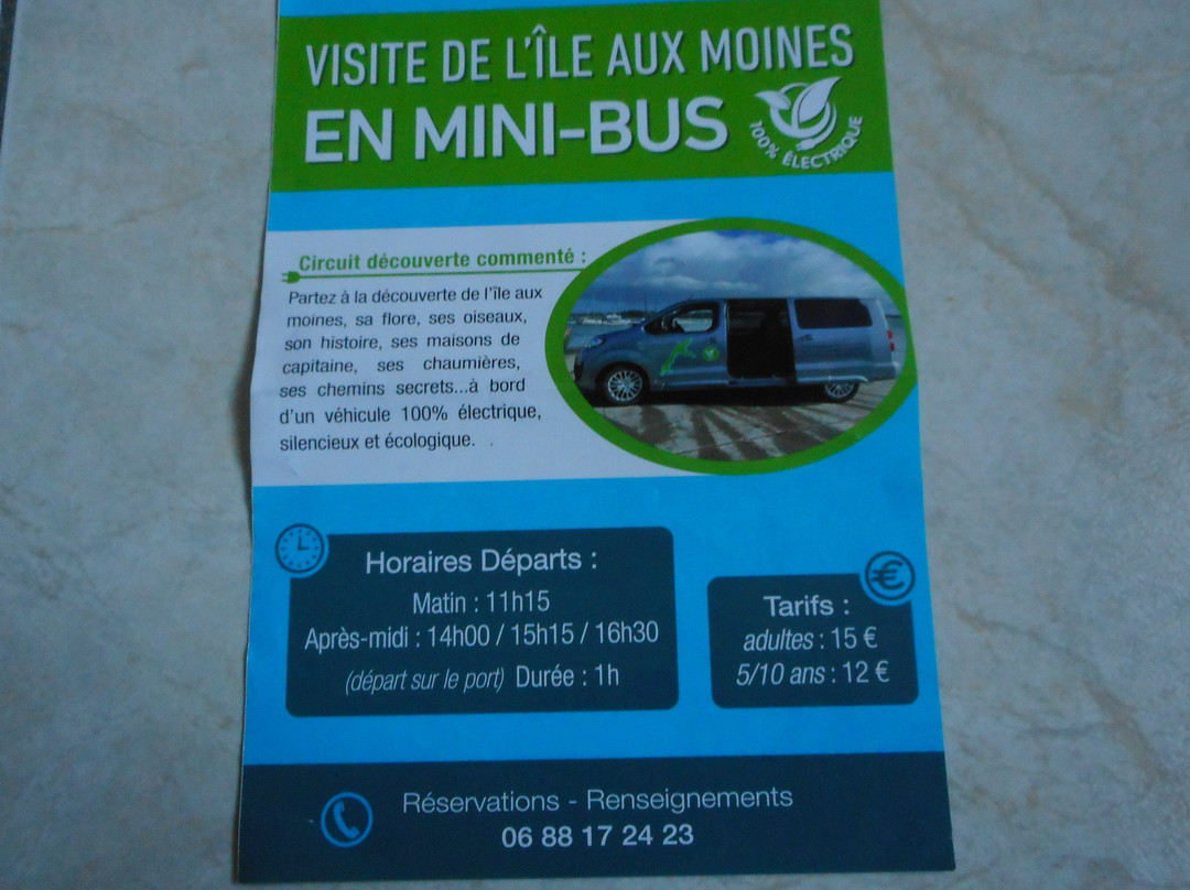 Balade en minibus L'ile aux Moines-伊尔奥穆瓦内必去景点