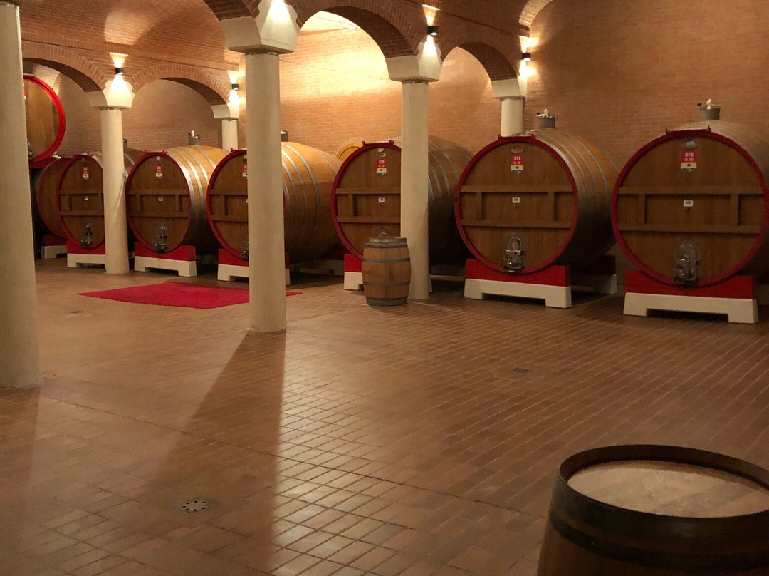 Cantina Valpolicella Negrar景点图片