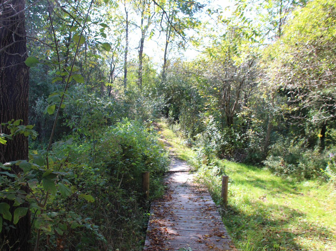 A.W. Campbell Conservation Area-Alvinston必去景点