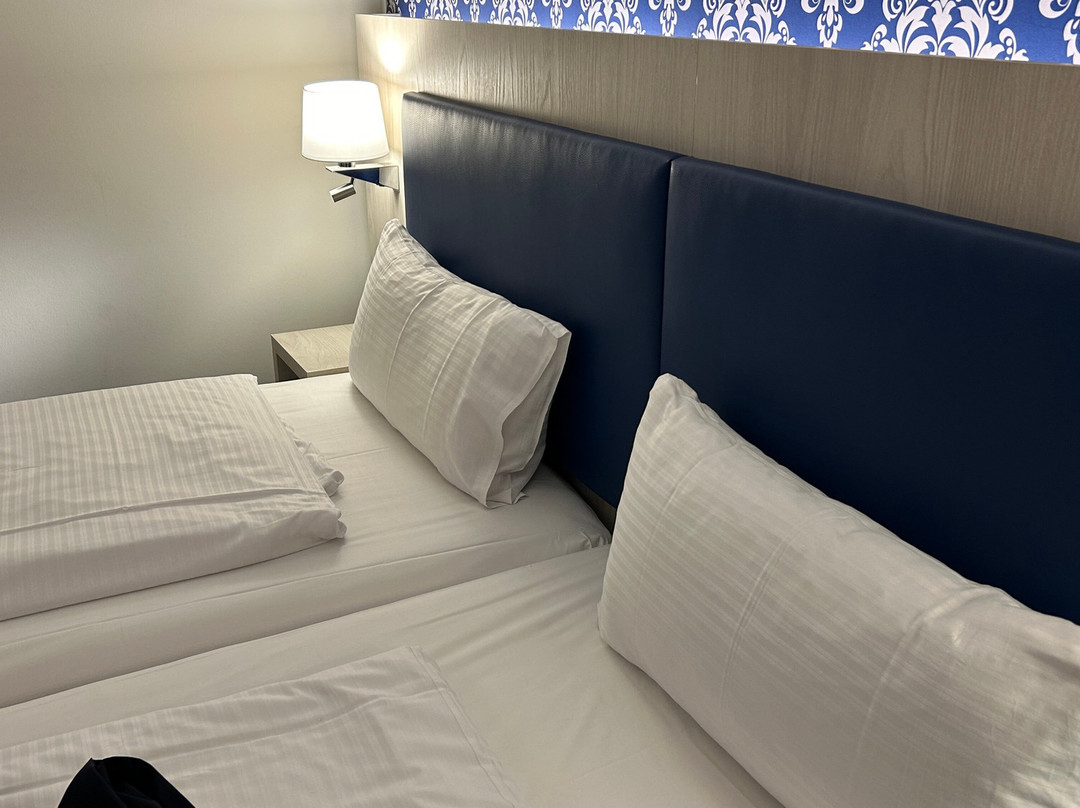 宜必思尚品拉施塔特巴登巴登酒店主图