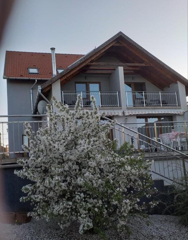 Villa Rigo主图
