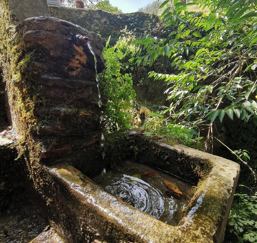 Candalla Waterfalls景点图片