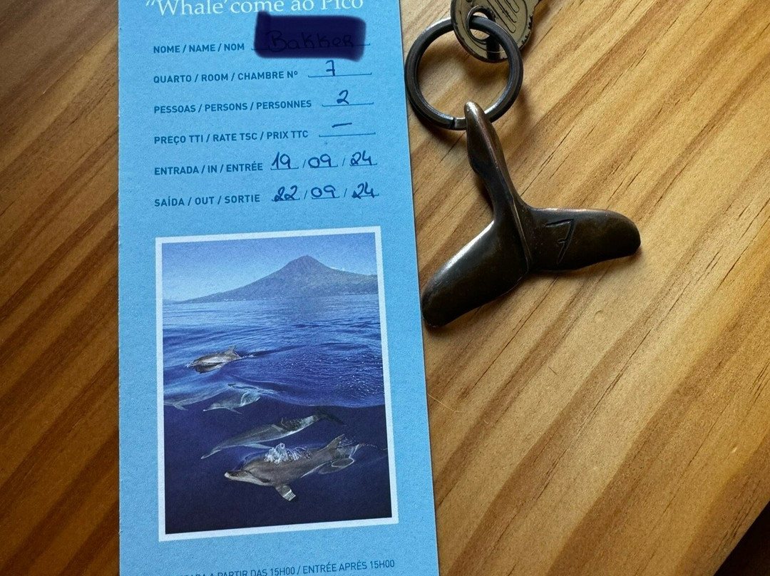 Whale'come ao Pico主图