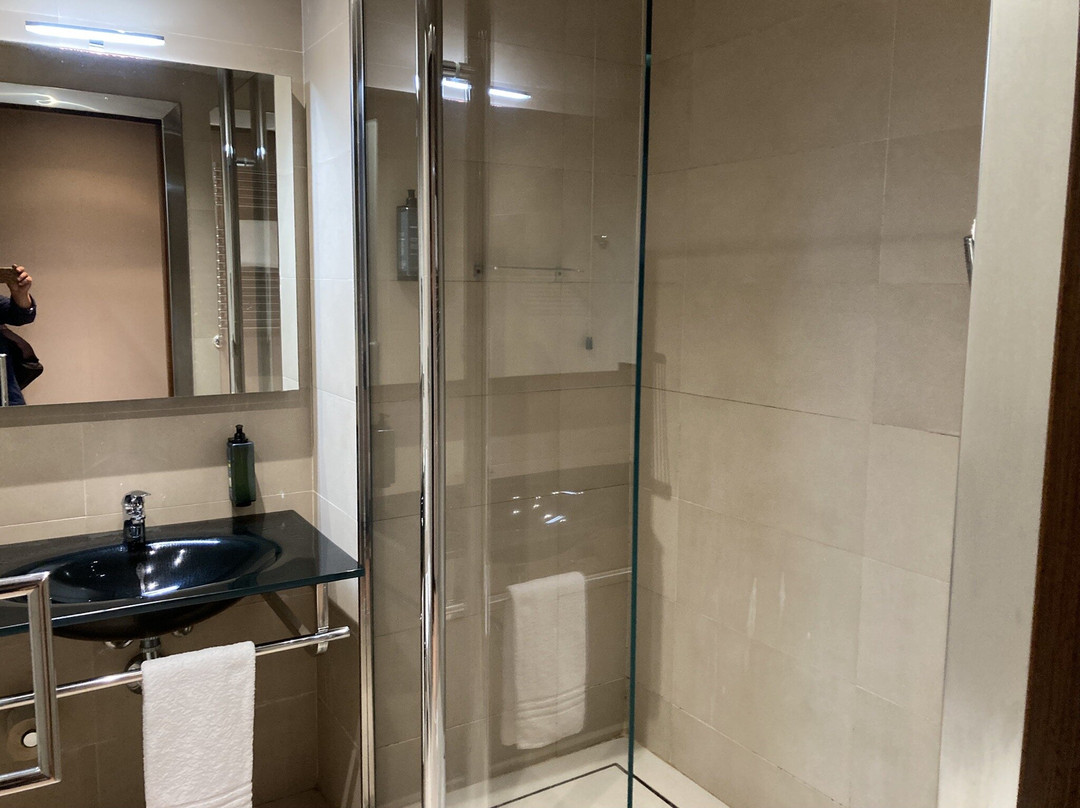 Best Western Hotel Goldenmile Milan主图