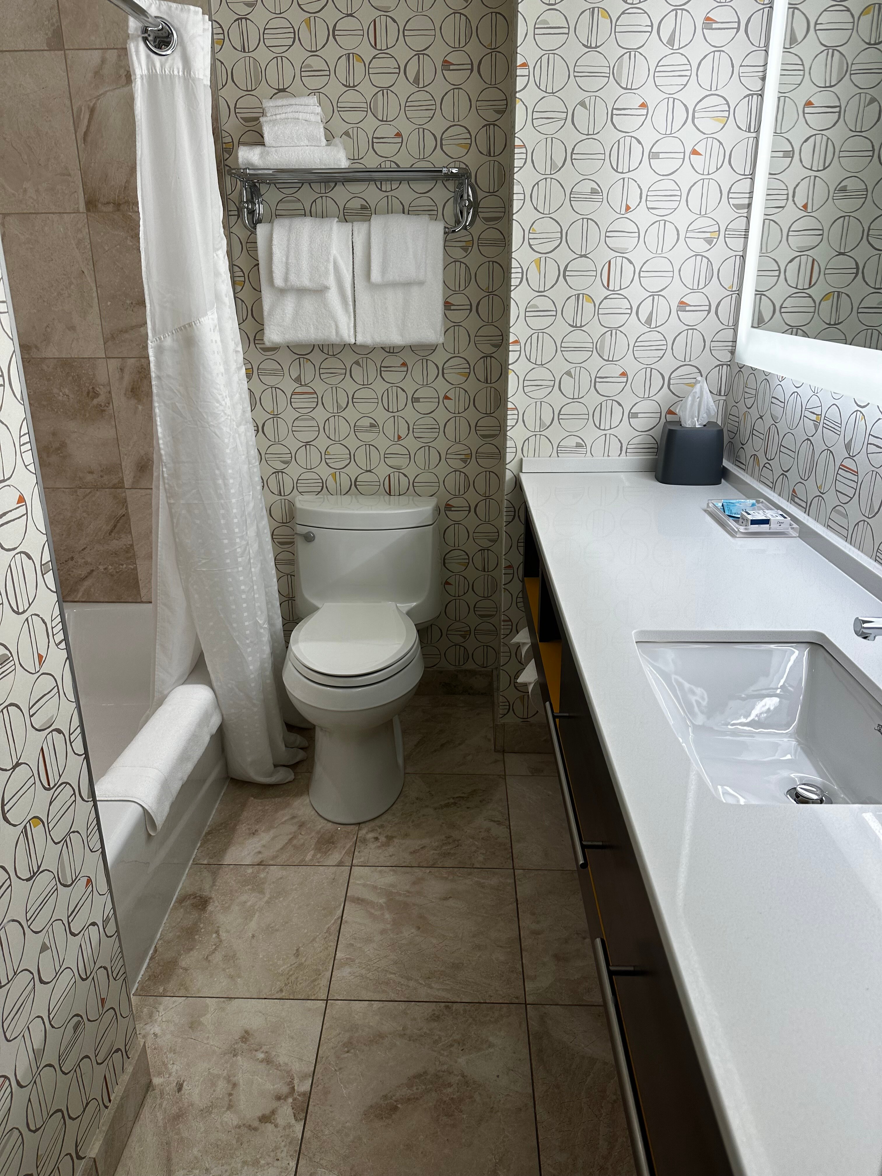 Holiday Inn Montreal-longueuil By IHG-浴室