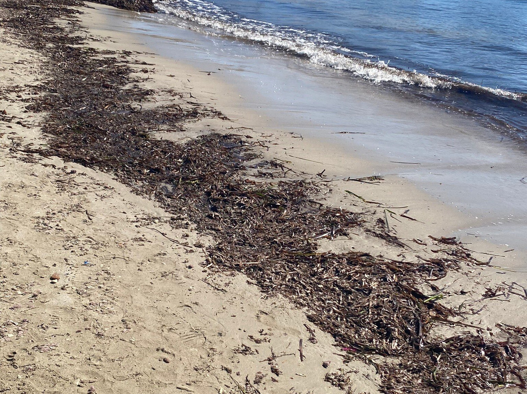 Playa de l'Ampolla景点图片