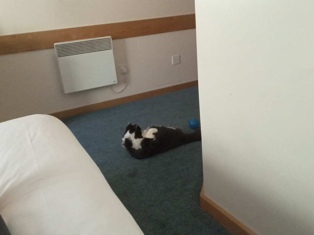 Travelodge Wakefield Woolley Edge M1 Southbound主图