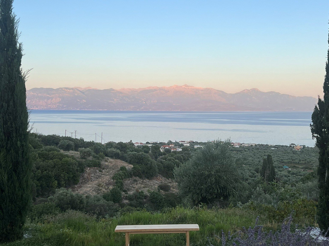 White Donkey Hotel主图