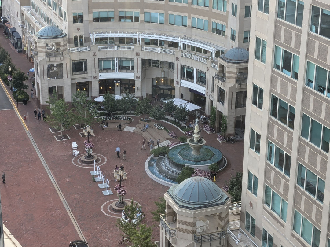 Hyatt Regency Reston主图