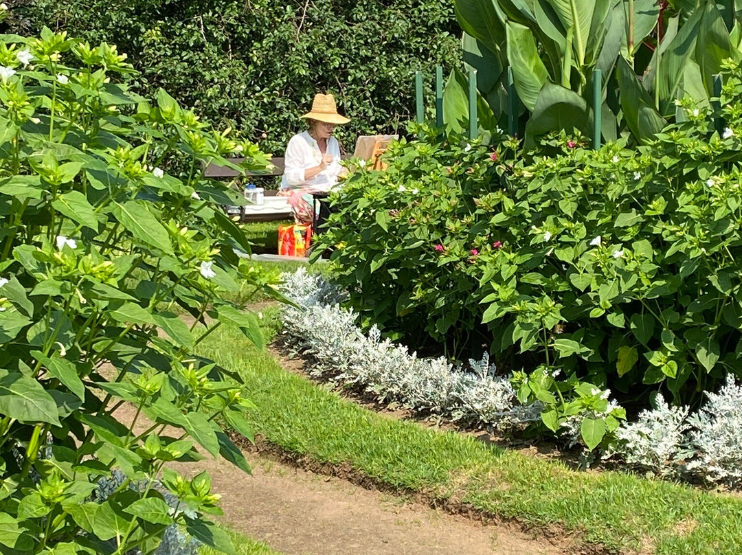 Paint the Town-安纳波利斯罗亚尔必去景点